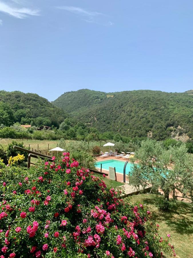 Podere Le Mulina กัสตีลีโยเน ดิ ออร์ชา ภายนอก รูปภาพ