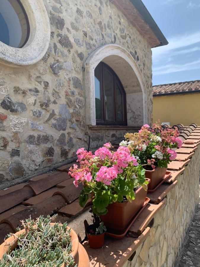 Podere Le Mulina กัสตีลีโยเน ดิ ออร์ชา ภายนอก รูปภาพ