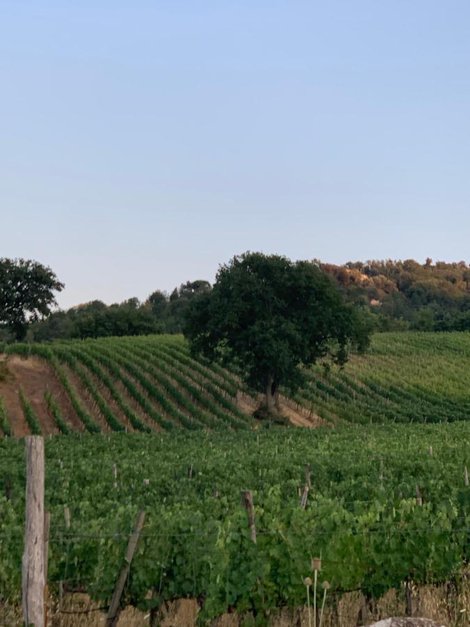 Podere Le Mulina กัสตีลีโยเน ดิ ออร์ชา ภายนอก รูปภาพ