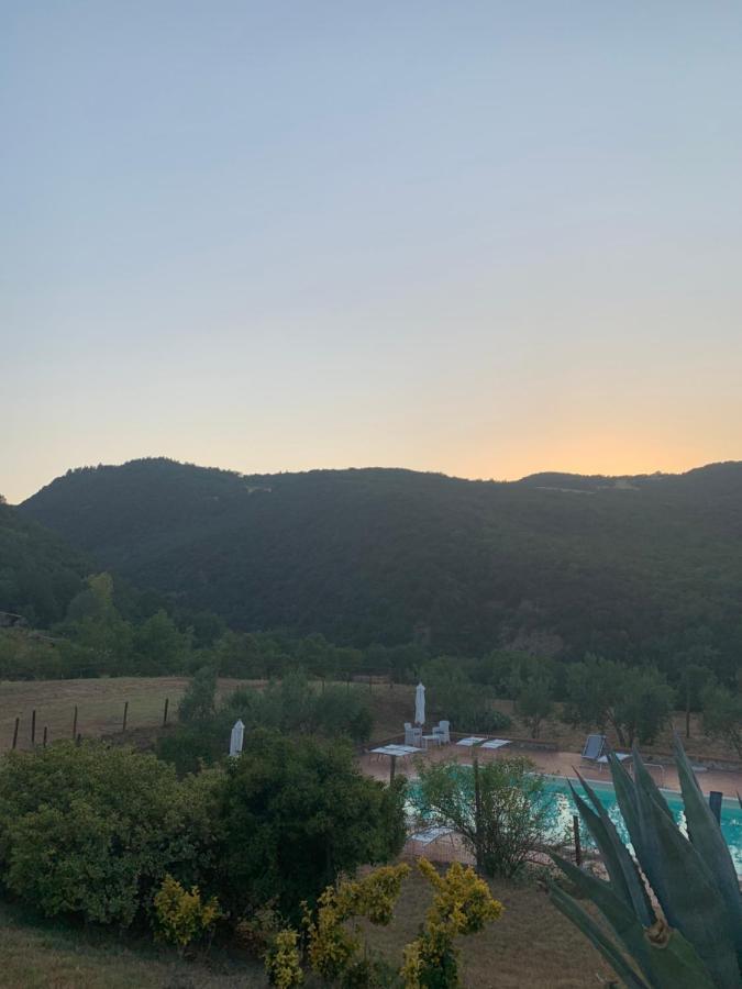 Podere Le Mulina กัสตีลีโยเน ดิ ออร์ชา ภายนอก รูปภาพ